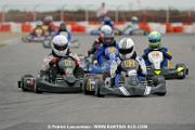 _DSC4825 copie